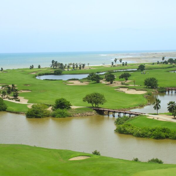 474621733_599825279333119_4818153913247150336_n