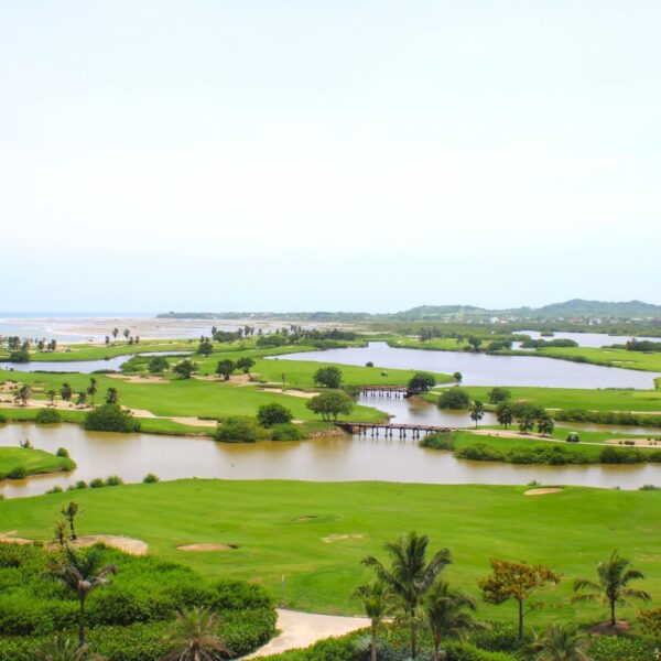 474624602_599825445999769_722910843866896794_n