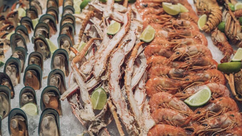 IBEROSTAR_BAVARO_JOIA_PARAISO_7