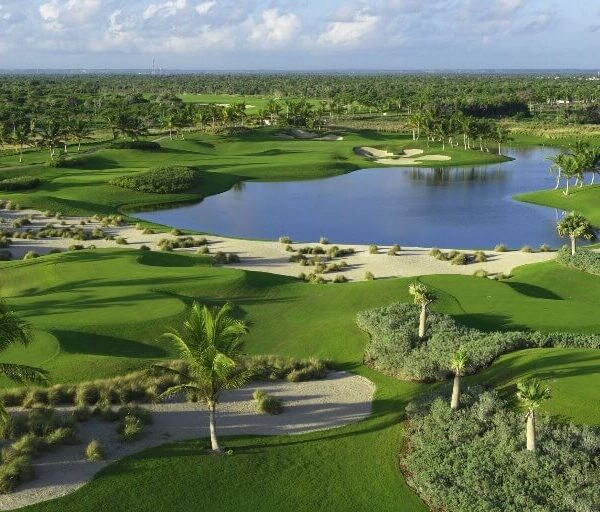 a197e0505229f9483c5b156da1fec839